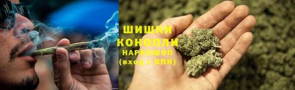 эйфоретик Белокуриха