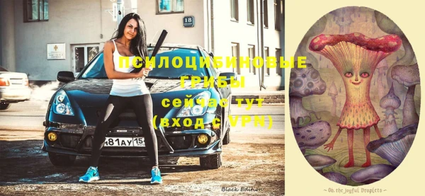 эйфоретик Белокуриха
