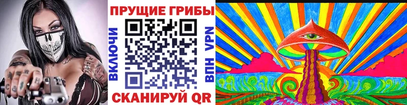 Галлюциногенные грибы мицелий  Купить закладки  Беломорск 
