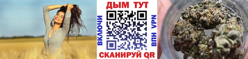 Каннабис сатива Купить где Беломорск